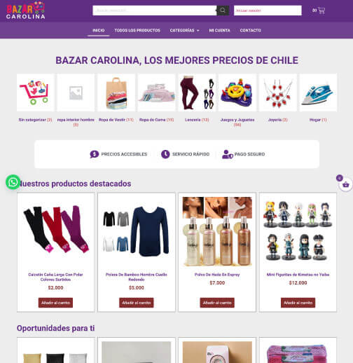 Bazar-Carolina---Chile