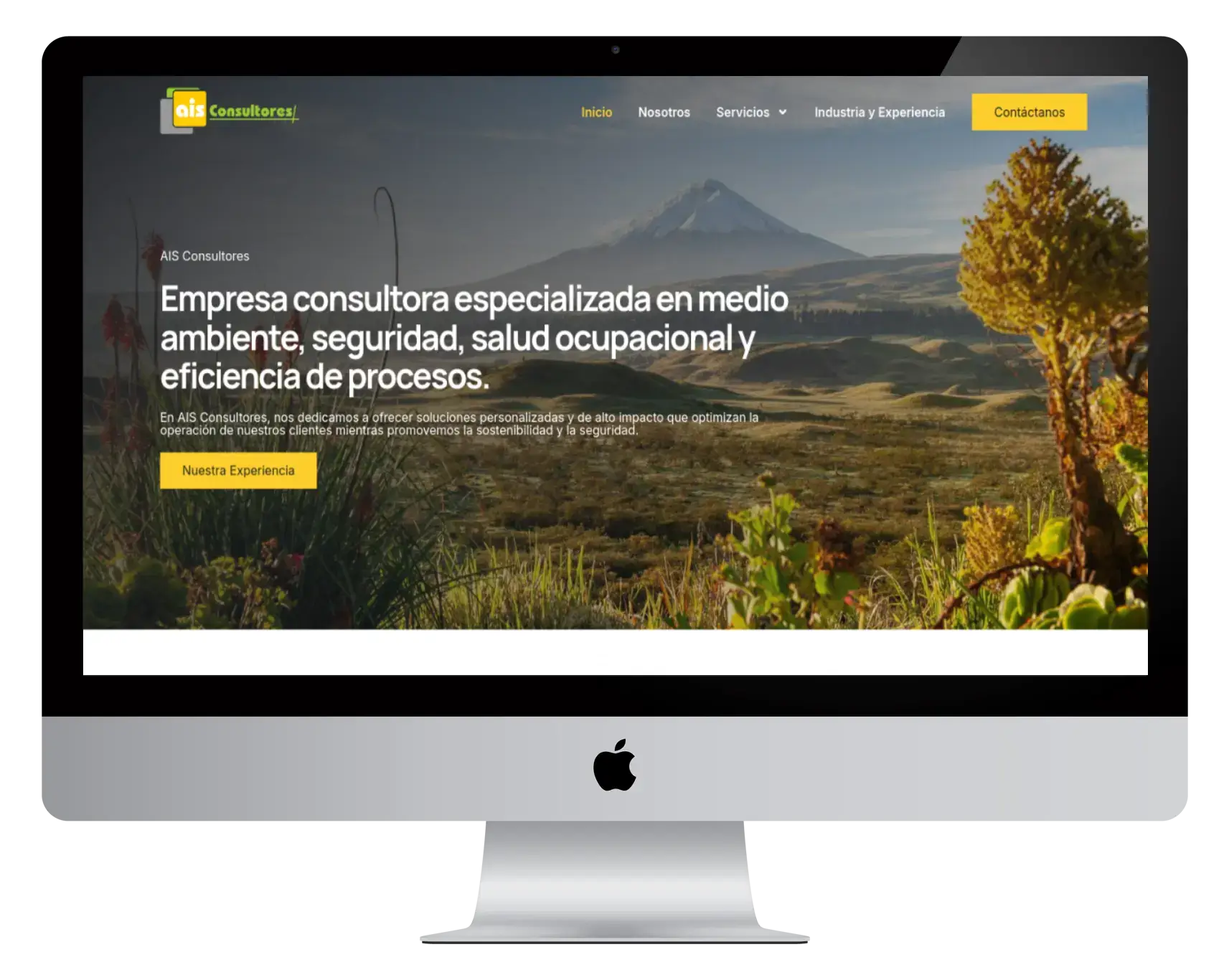 Web Corporativa AIS Consultores